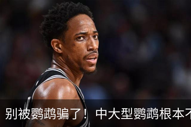 别被鹦鹉骗了！中大型鹦鹉根本不是宠物，是会飞的野生猛禽！