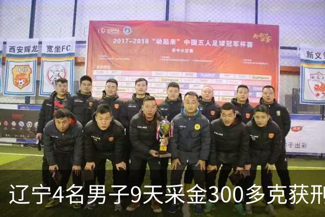辽宁4名男子9天采金300多克获刑，村里砂土为何能淘金？土法筛金对人体和环境有何危害？
