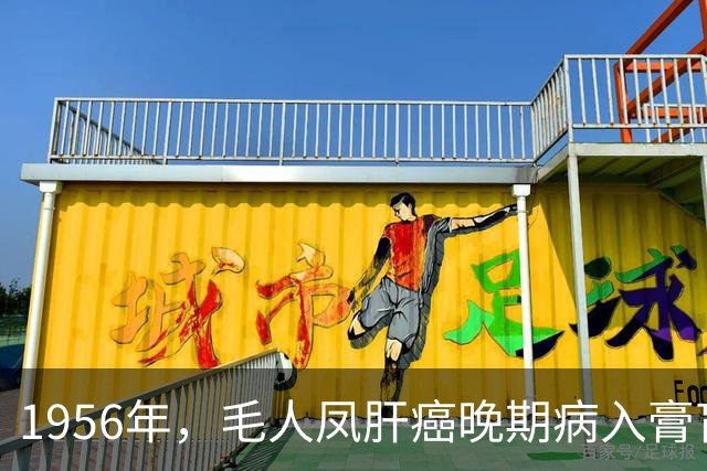 1956年，毛人凤肝癌晚期病入膏肓，蒋经国提着钱箱并提议他去美国治疗，毛人凤识破这是“催命符”